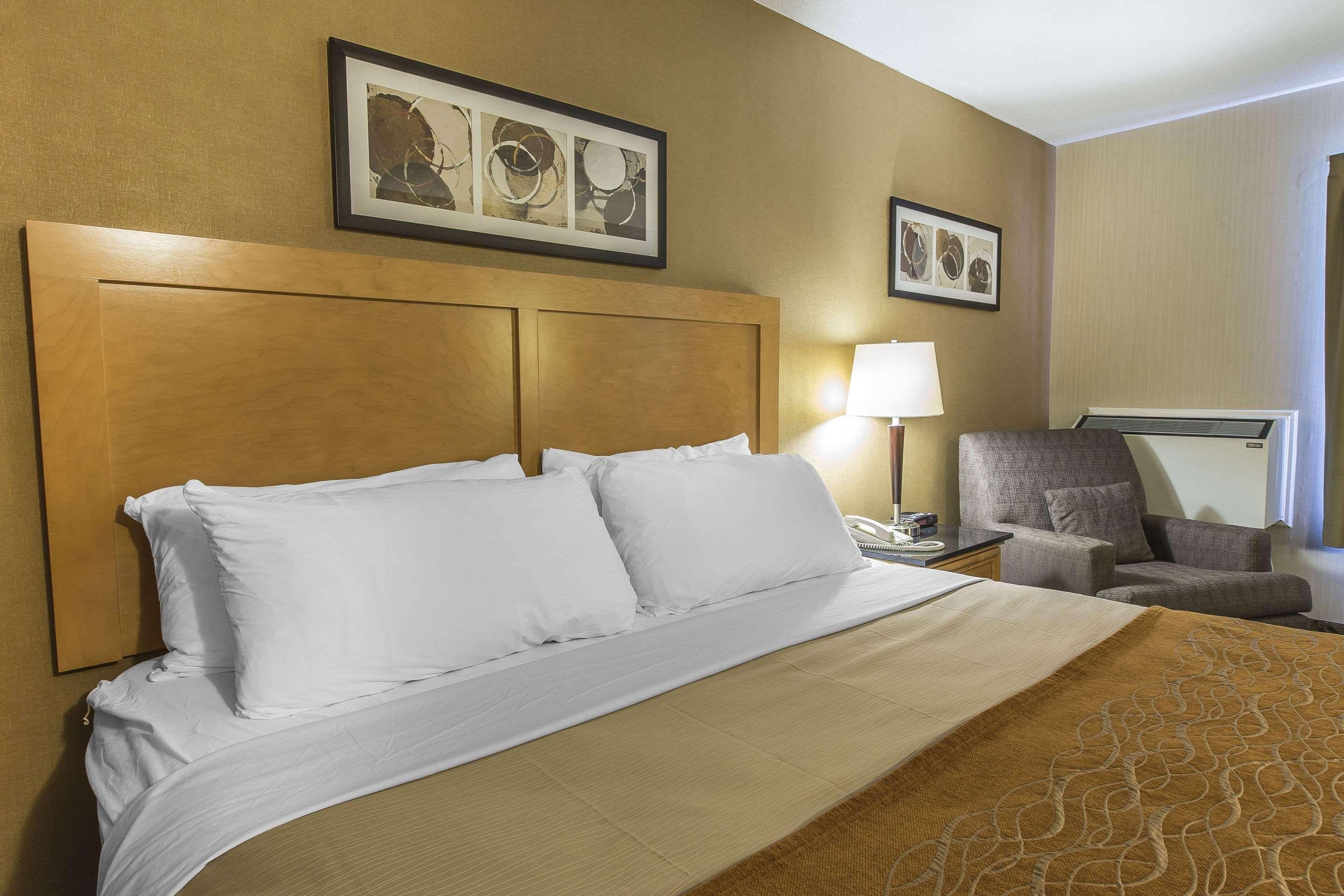 Comfort Inn Corner Brook Dış mekan fotoğraf