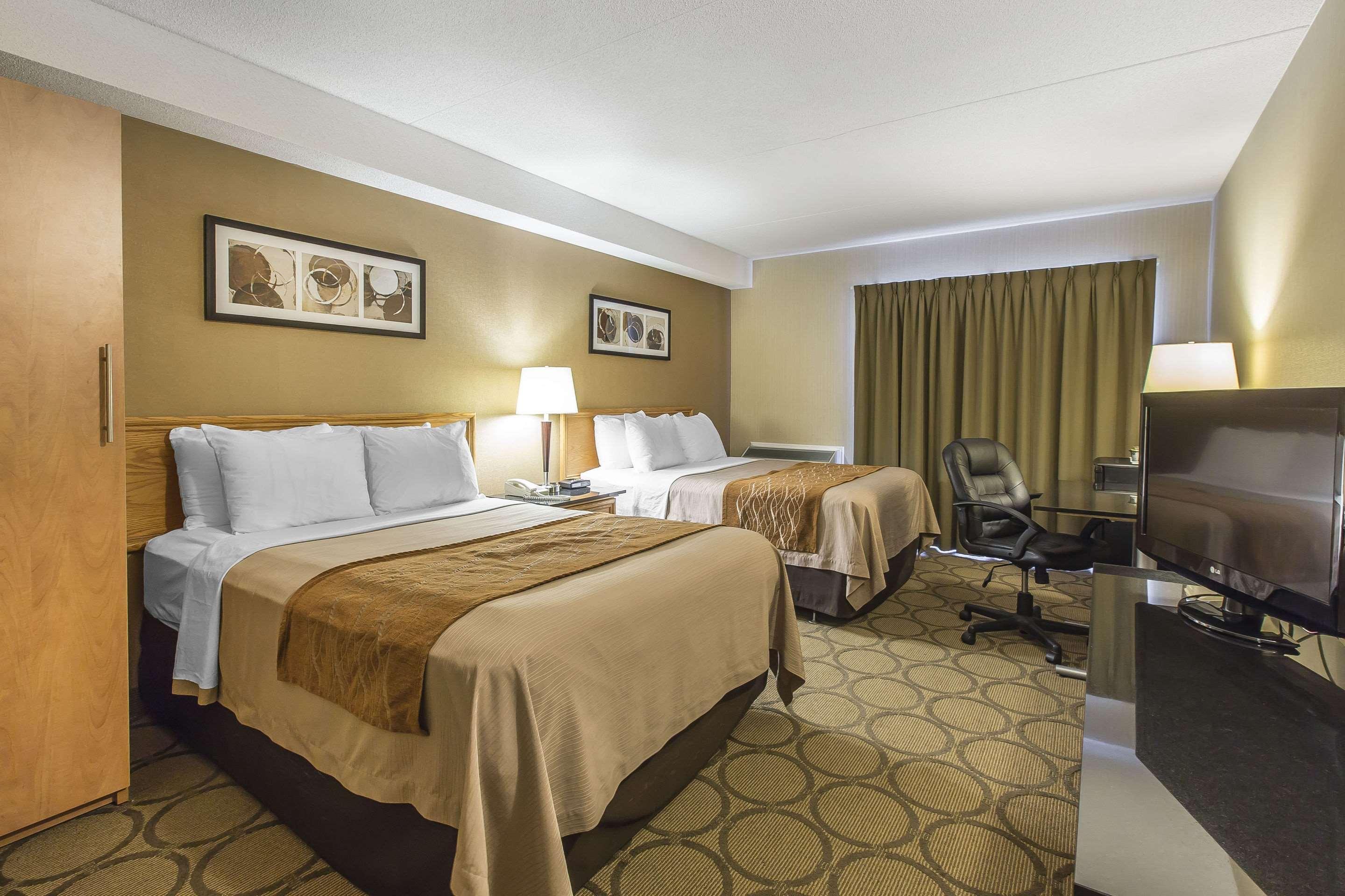 Comfort Inn Corner Brook Dış mekan fotoğraf