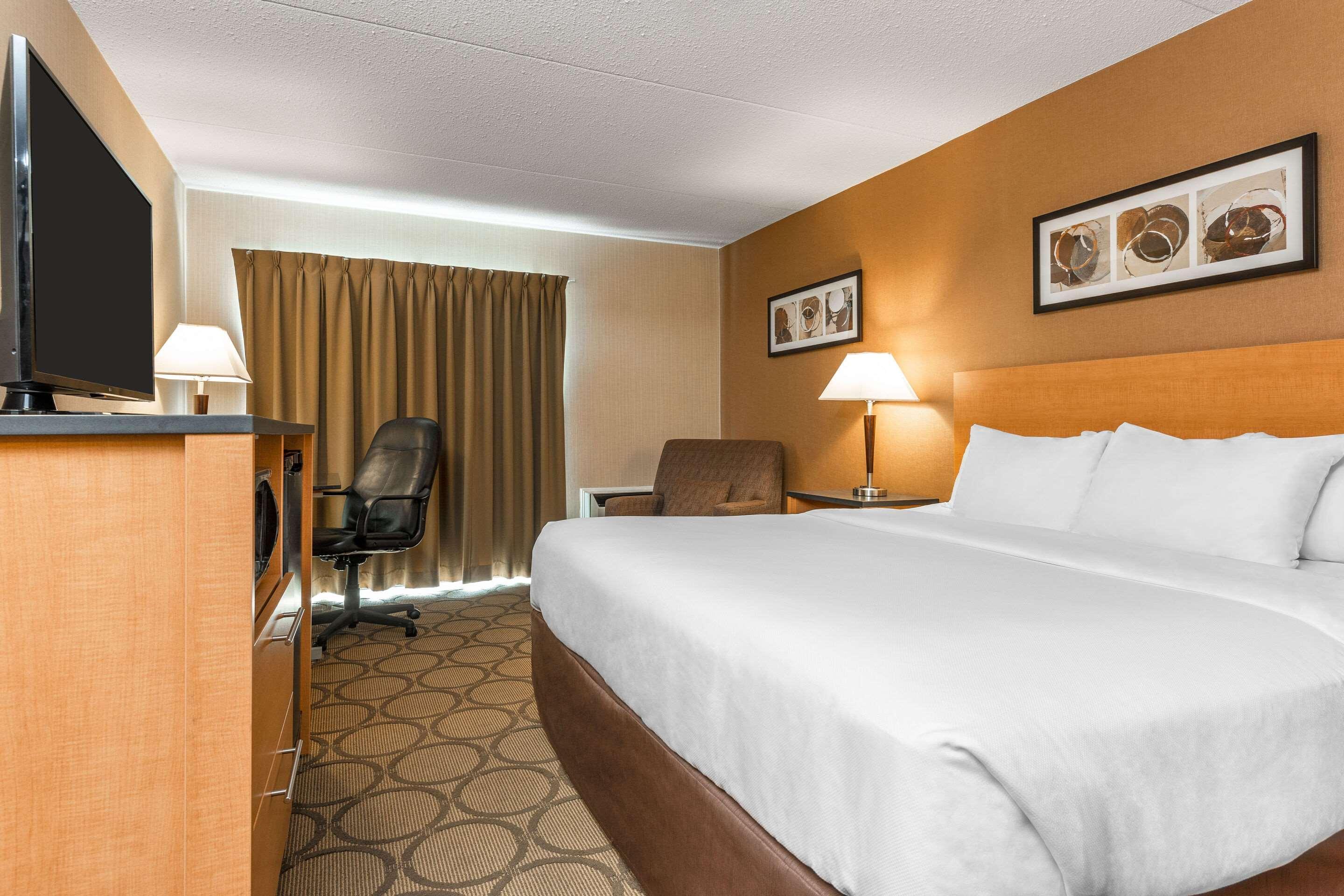 Comfort Inn Corner Brook Dış mekan fotoğraf