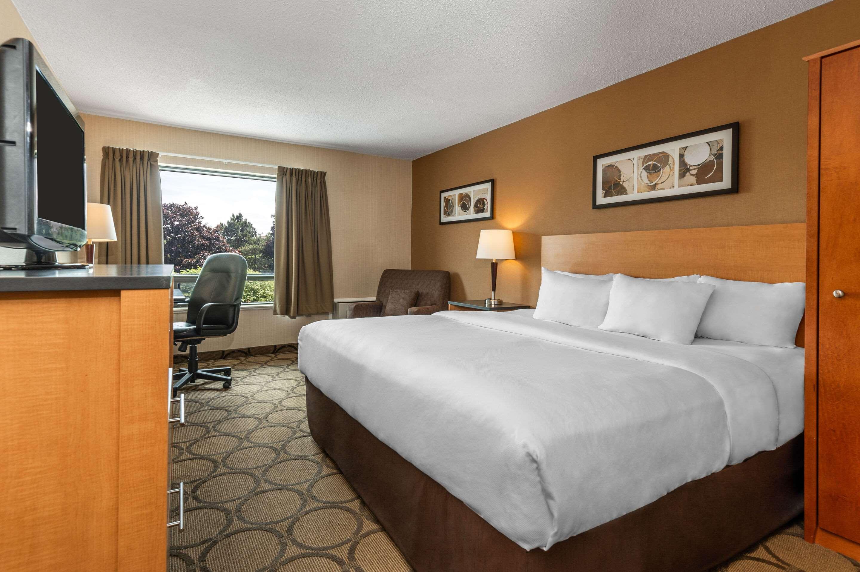 Comfort Inn Corner Brook Dış mekan fotoğraf