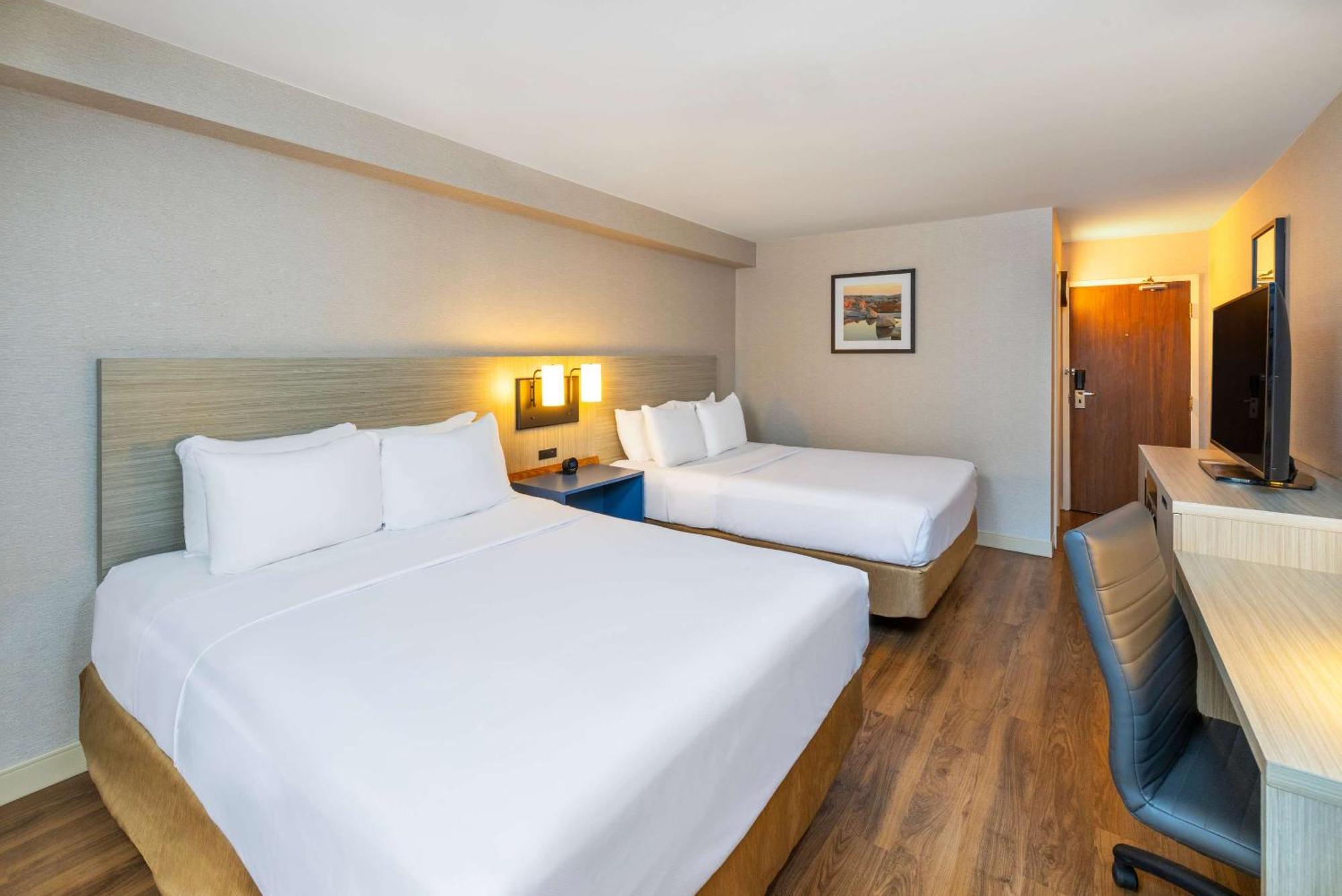 Comfort Inn Corner Brook Dış mekan fotoğraf